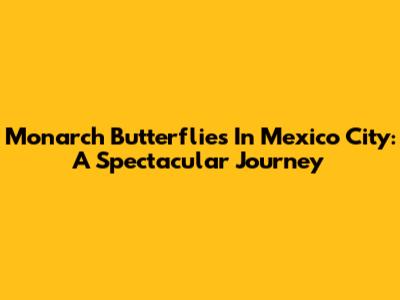 Monarch Butterflies In Mexico City: A Spectacular Journey